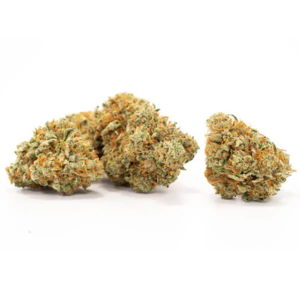 AK 47 - Image 3