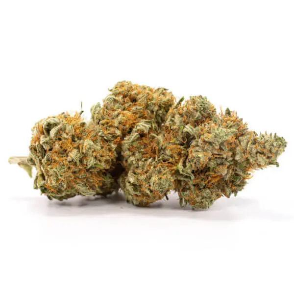 AK 47 - Image 2