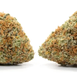 Blueberry - Image 2
