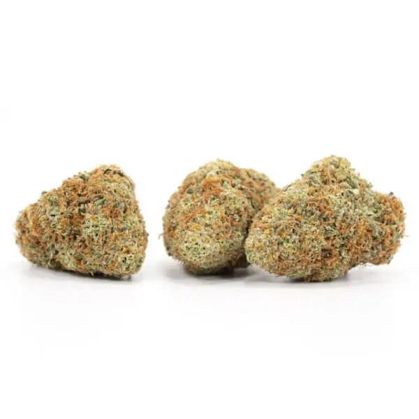 Blueberry - Image 3