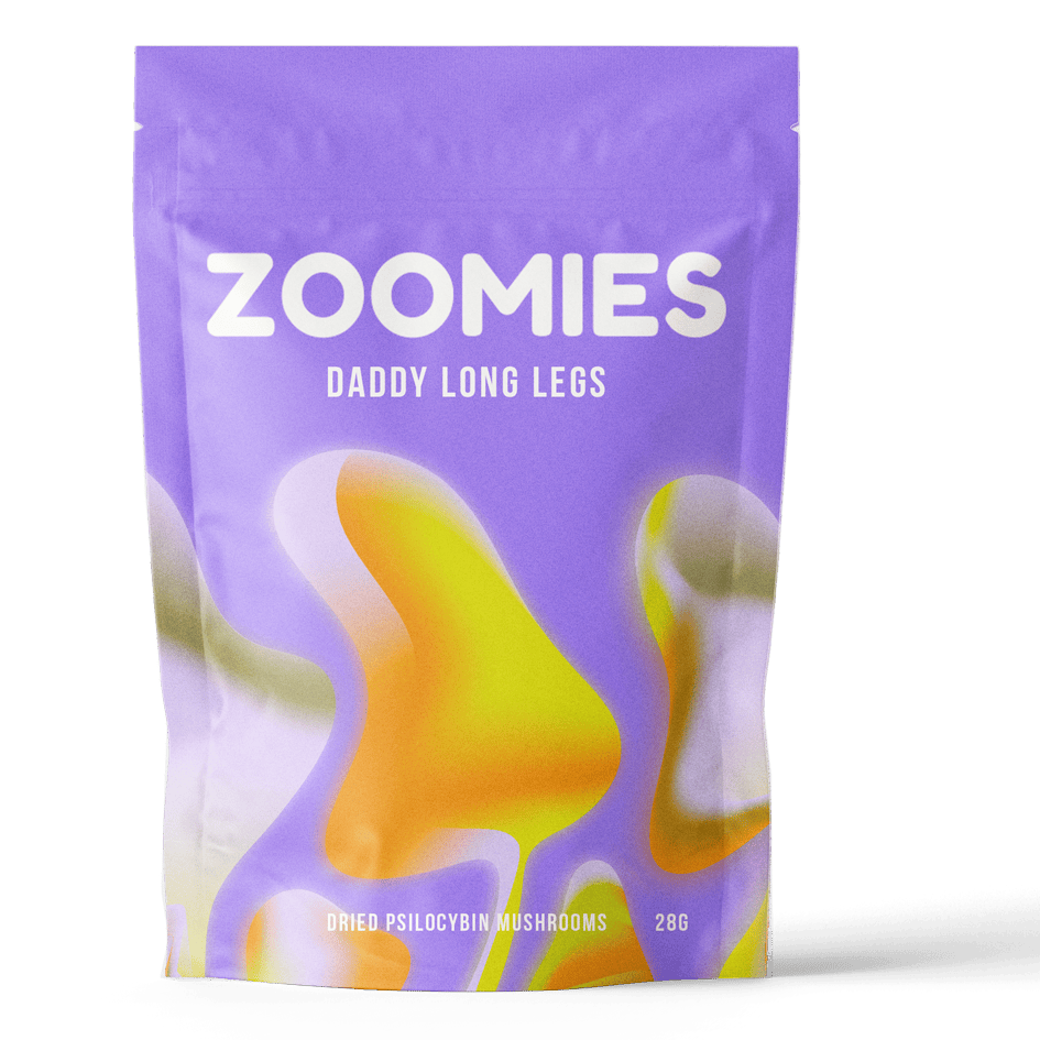 Daddy Long Legs