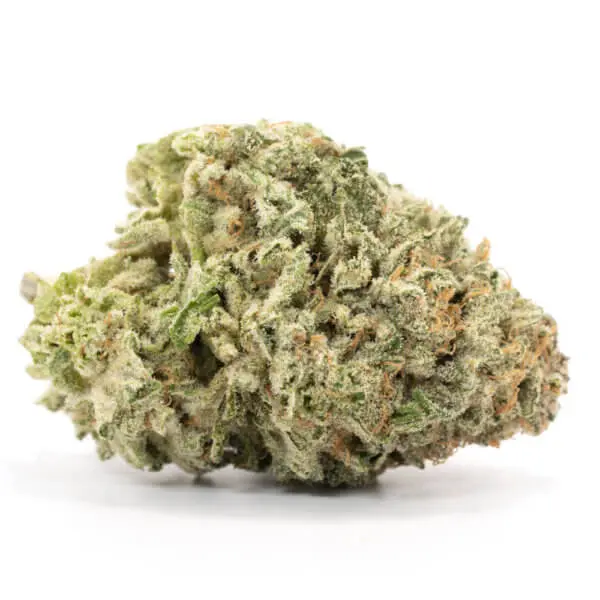 Durban Poison - Image 3