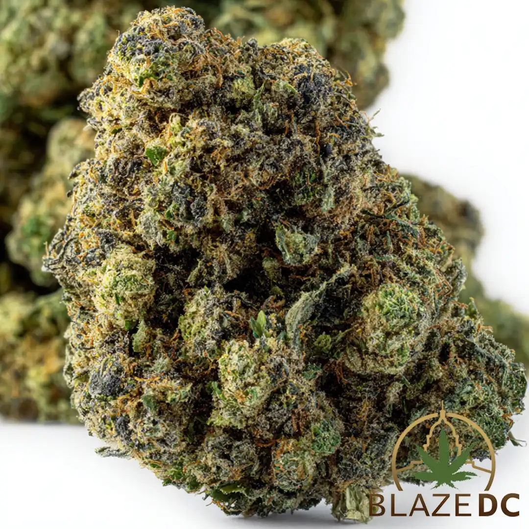 Lemonberry Shatter: Buy Premium Hybrid Cannabis Online