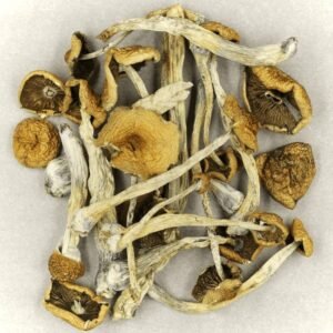Bonus 14g Mushroom