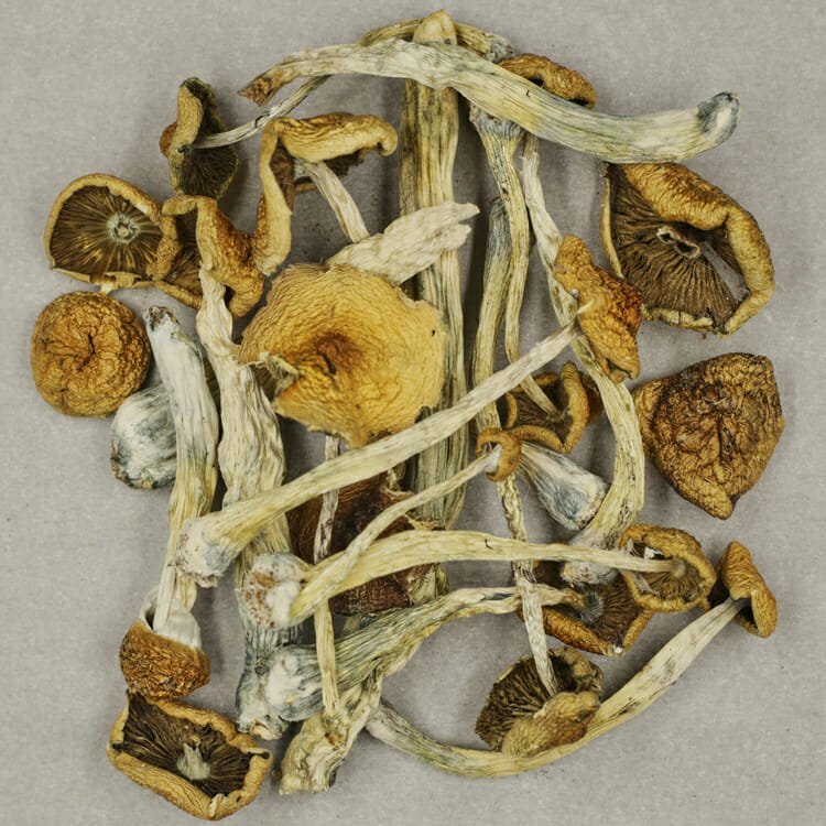Mazatapec - Image 2