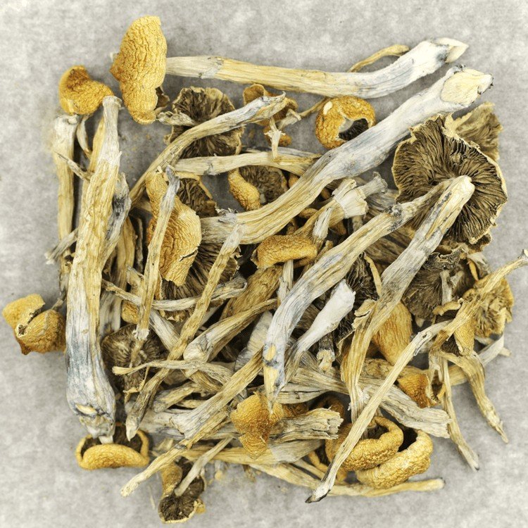 Trinity - Image 2