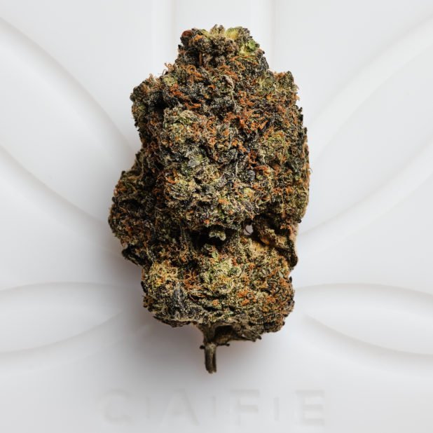 Layer Cake Shatter | Premium Indica Hybrid Concentrate – Chemsfine