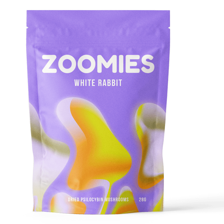 White Rabbit