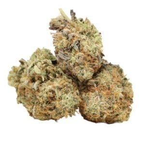 Ahi Tuna Kush Shatter Online | Premium Cannabis Concentrate