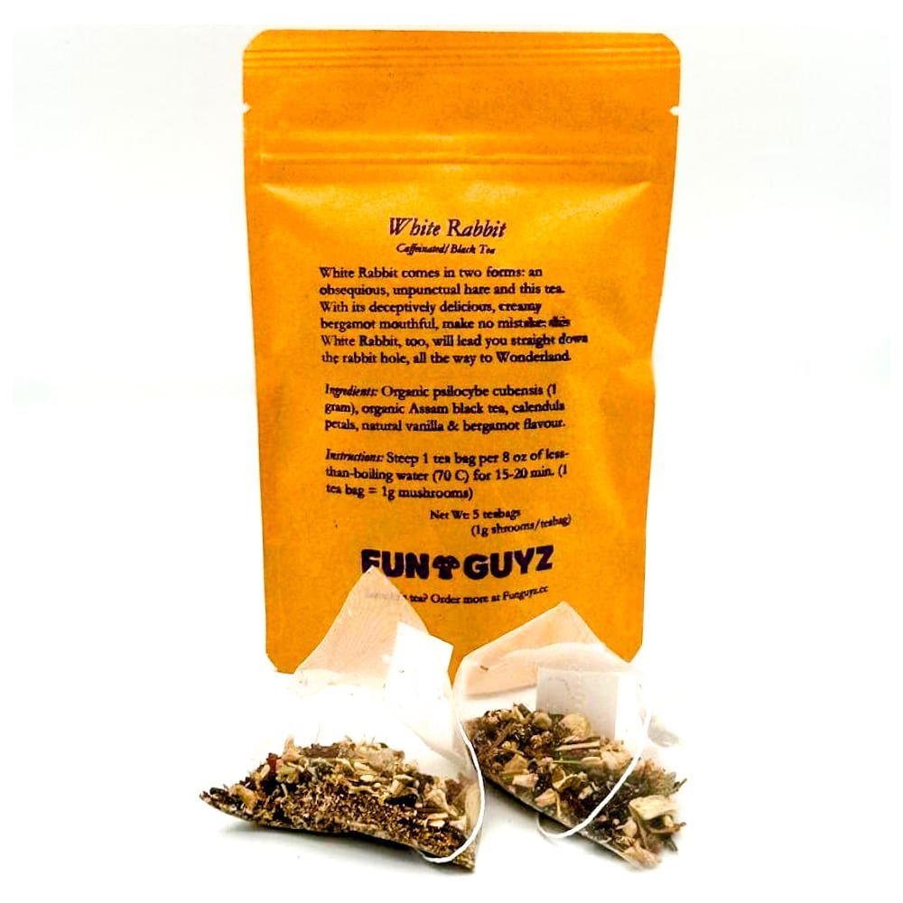 FunGuyz – Psilocybin Infused Tea – 5g (5 tea bags)