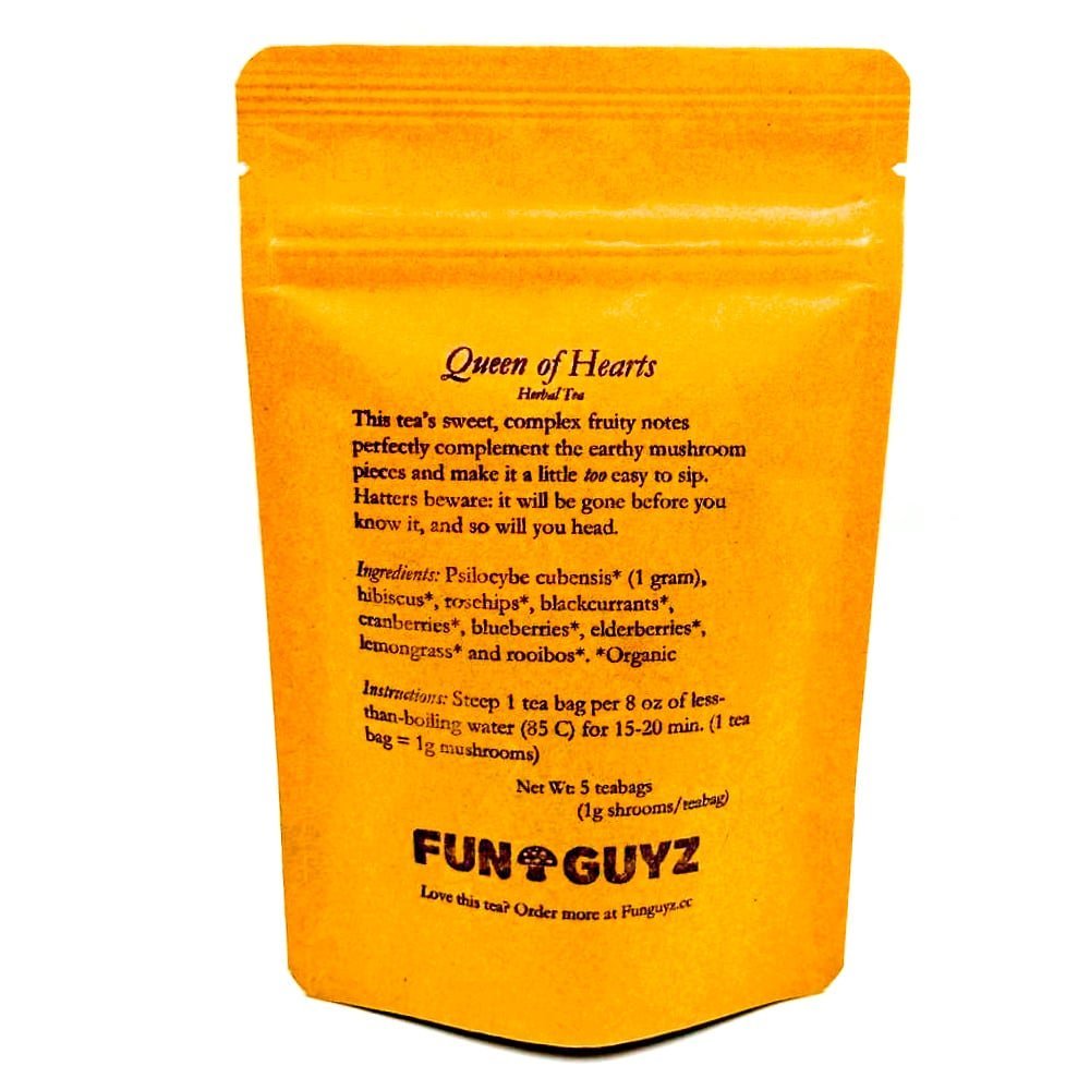 FunGuyz – Psilocybin Infused Tea – 5g (5 tea bags) - Image 3