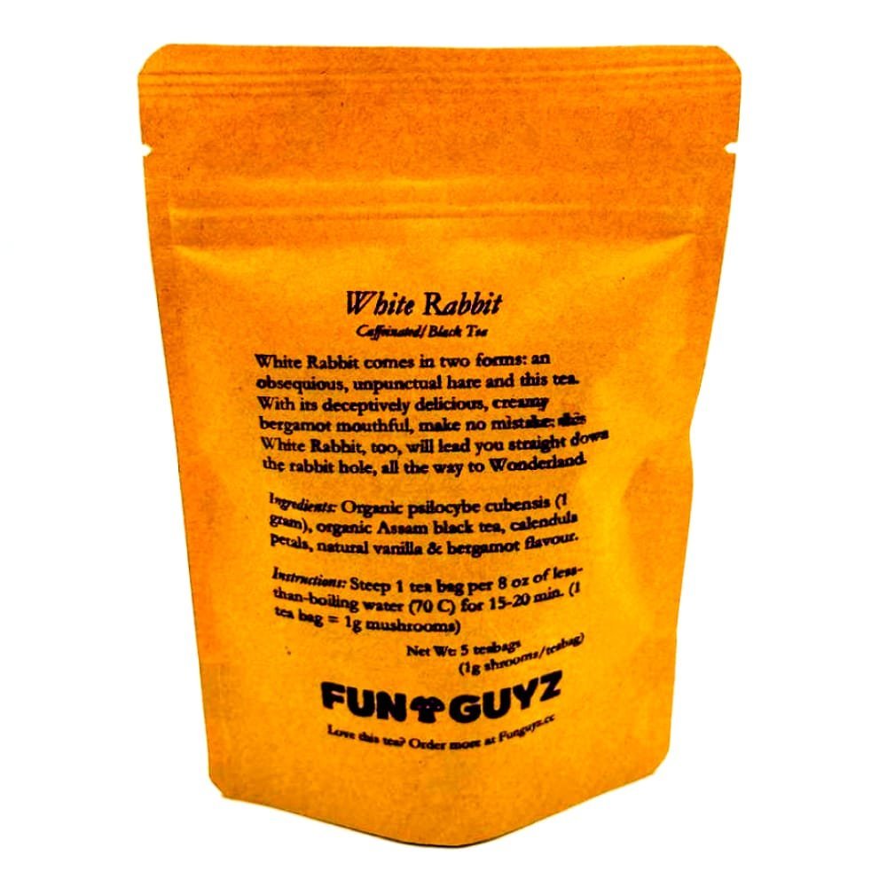 FunGuyz – Psilocybin Infused Tea – 5g (5 tea bags) - Image 2