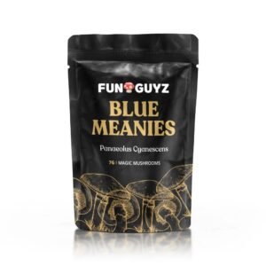 Blue Meanies – Magic Mushrooms