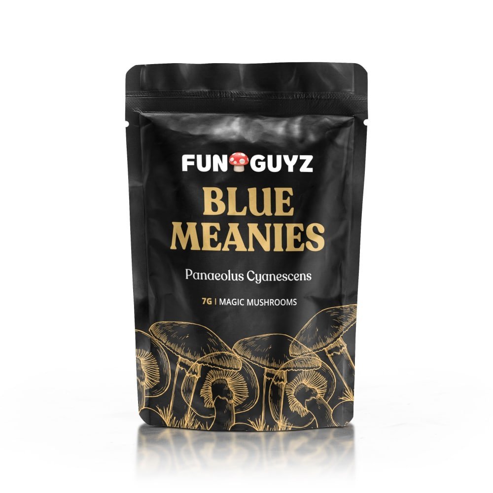 Blue Meanies – Magic Mushrooms