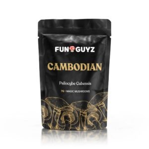 Cambodian – Magic Mushrooms