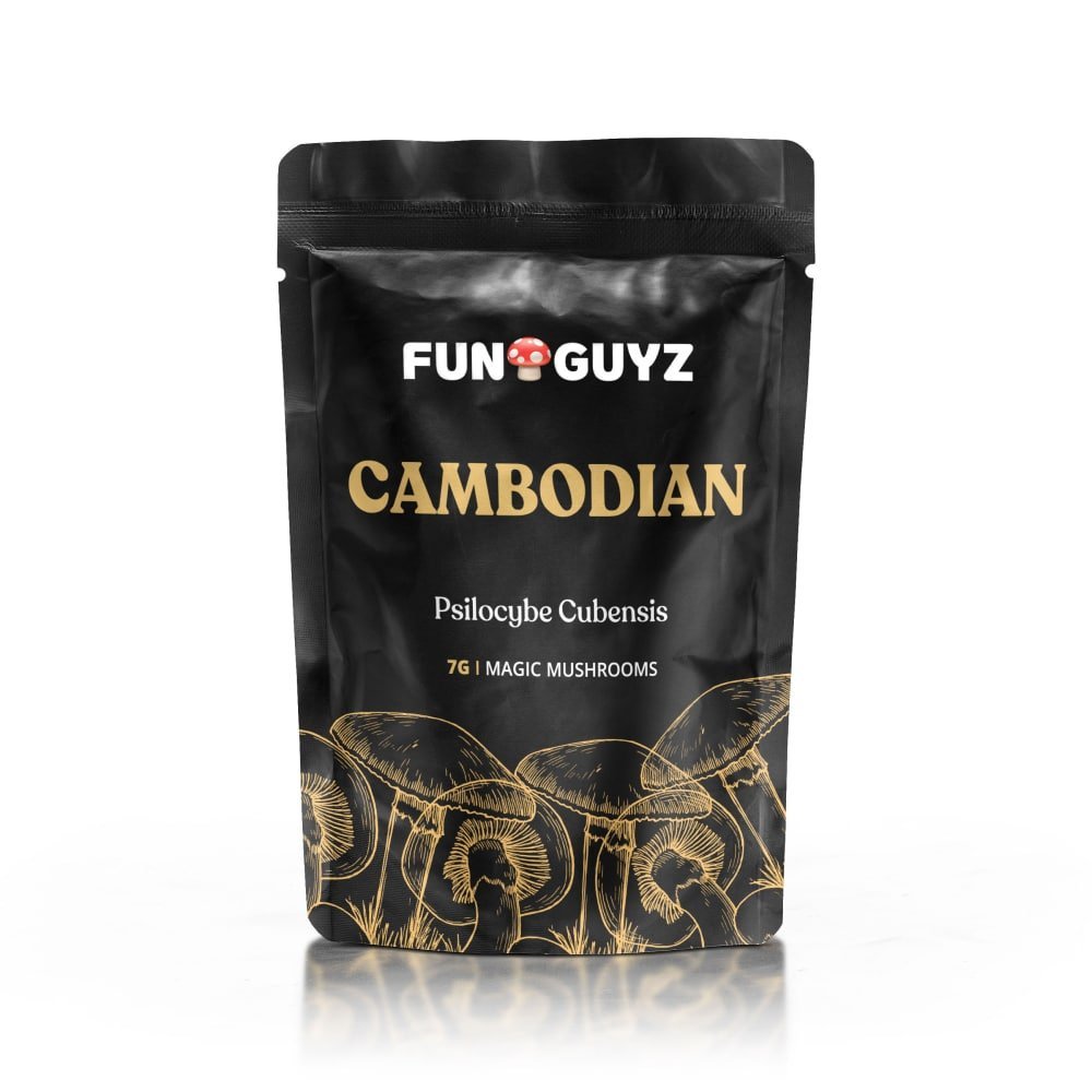 Cambodian – Magic Mushrooms