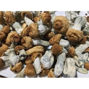 Buy Psychedelics Online | Psychedelics For Sale | Discreet Delivery