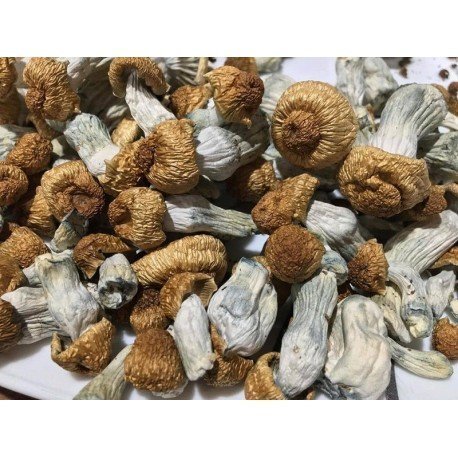 Buy Psychedelics Online | Psychedelics For Sale | Discreet Delivery