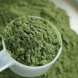 Mescaline Powder For Sale | High Purity Online