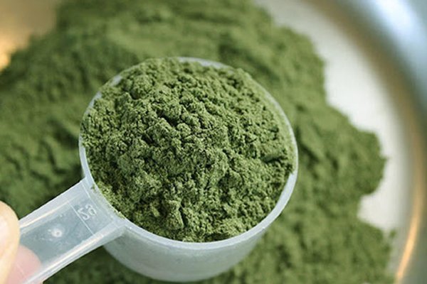 Mescaline Powder For Sale | High Purity Online